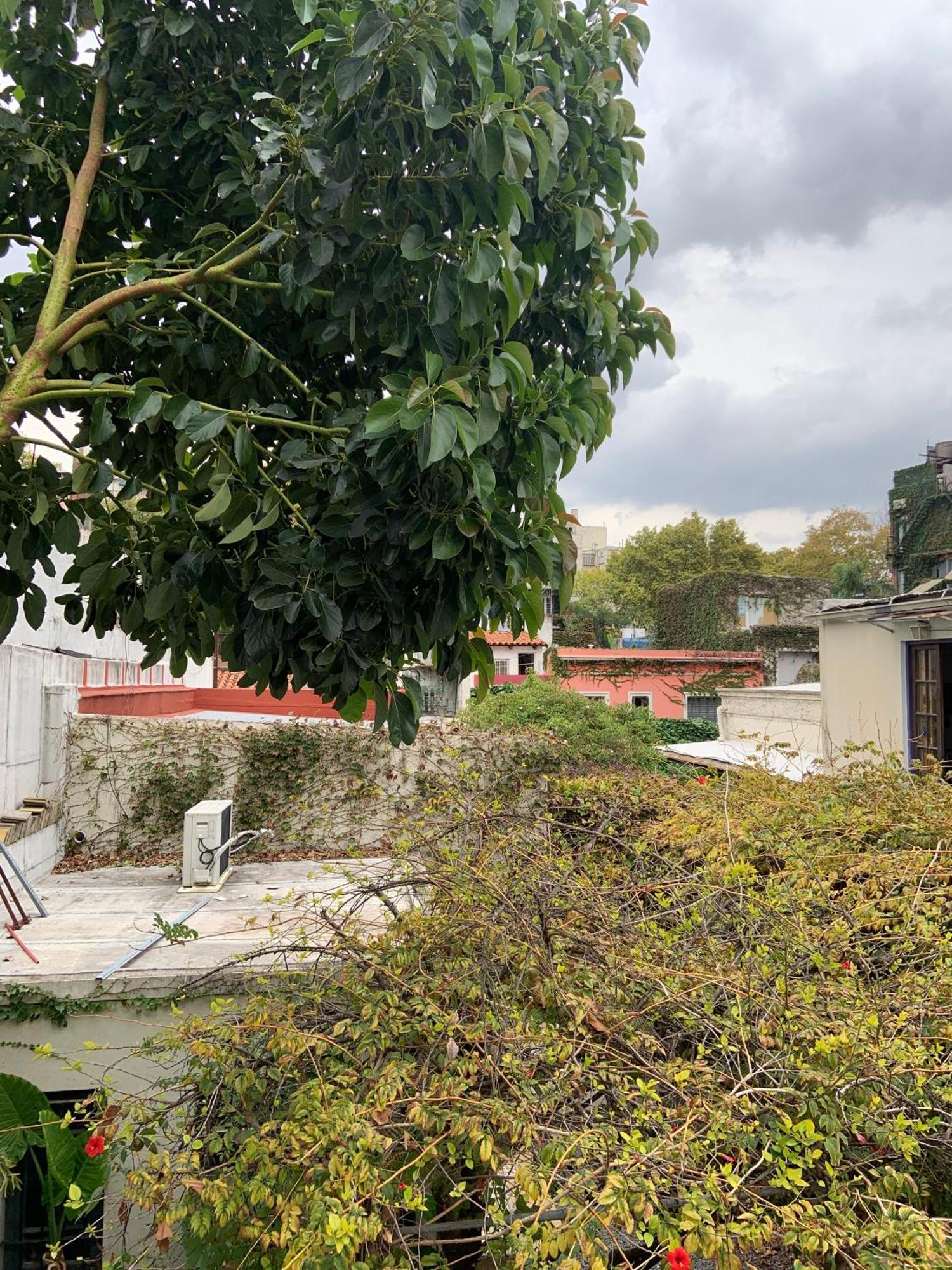Costa Rica Soho Rooms 布宜诺斯艾利斯 外观 照片